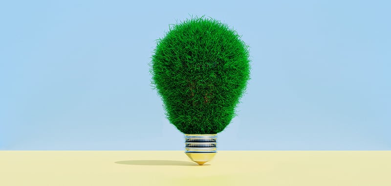 Can Eco-Friendly Labels Help Your Brand and the Planet?